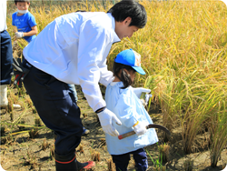 食農教育活動