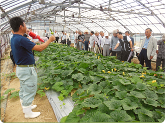 技術部会