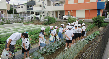 農業と食を学ぶ